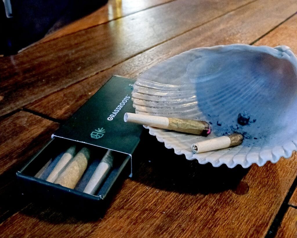 Tree Donkey Weed Club Expert Cannabis Reviews -Expert bc weve been smoking for 30+ years Pre-roll joint in my ash try from the ocean talking about when you Learn about Weed