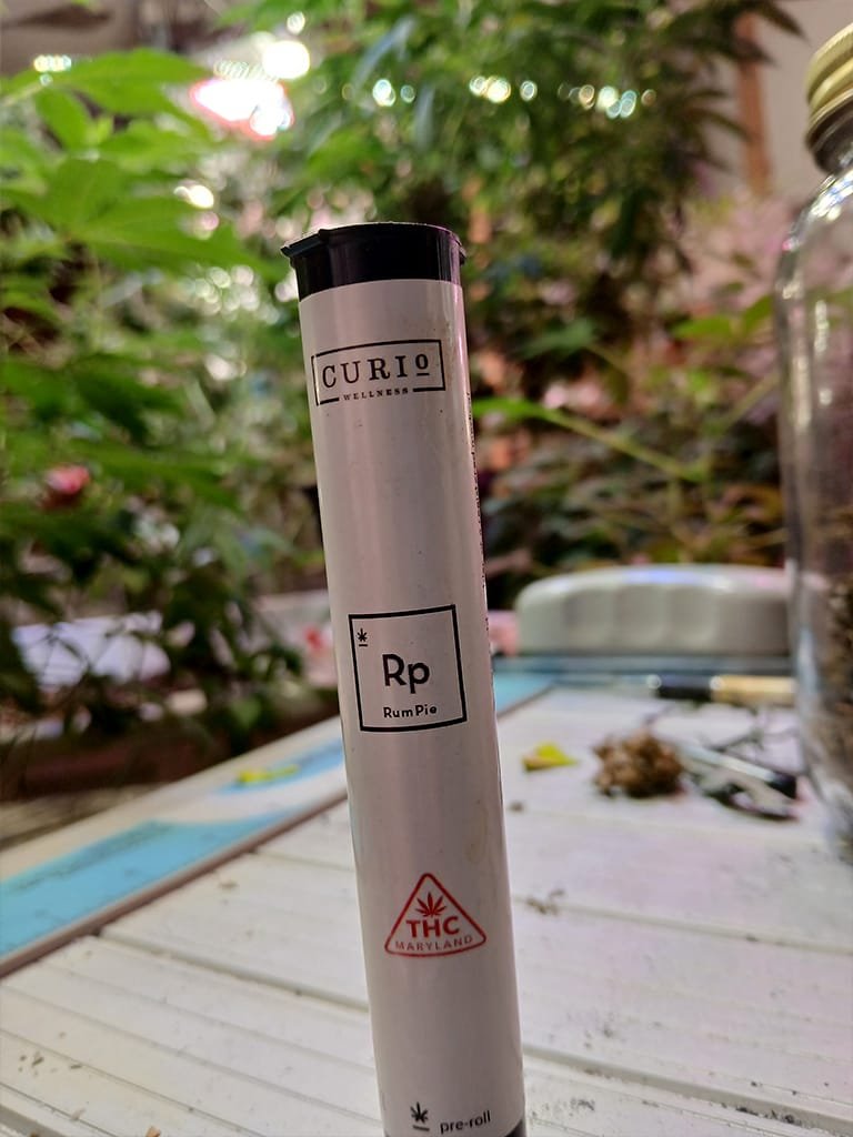 Rum Pie from Curio Wellness