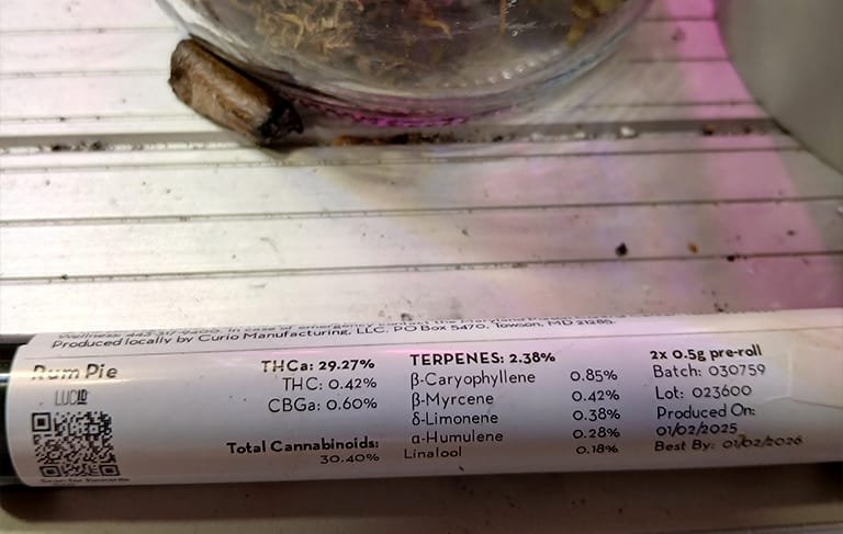 Rum Pie from Curio Wellness