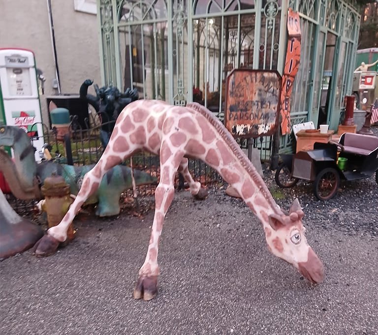Giraffe on the Rum Pie Review Adventure